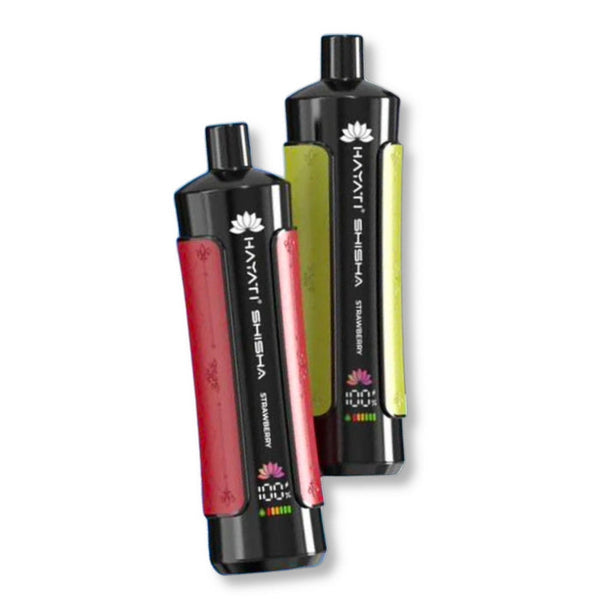 Hayati Pro Max Shisha 15000 Puffs Disposable Vape Box of 10