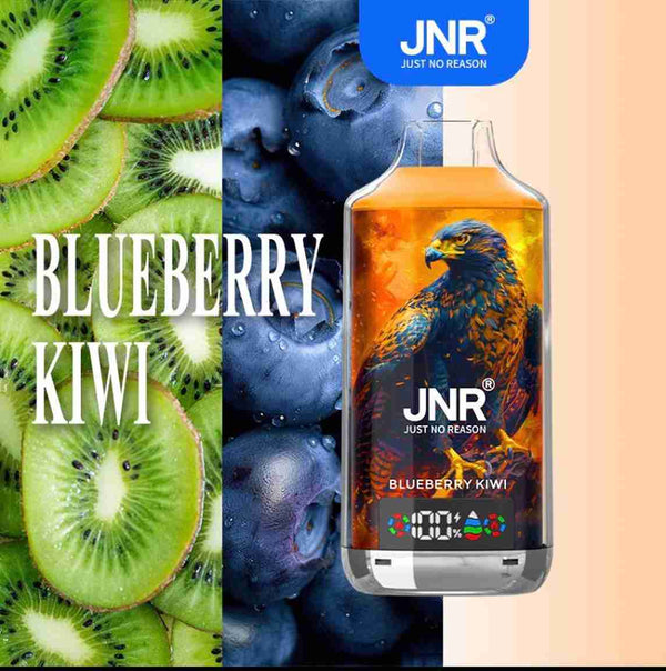 JNR Falcon X 18000 Disposable Vape Box of 10 with Blueberry Kiwi flavour