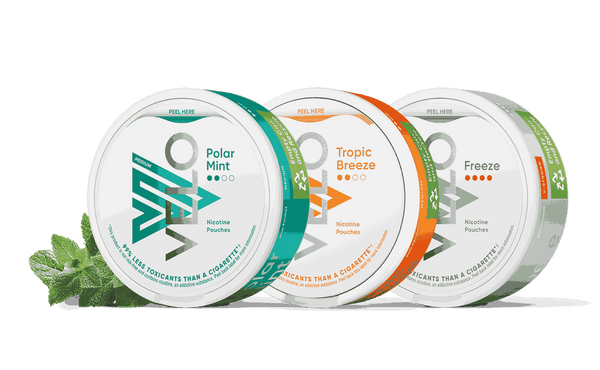 VELO Nicotine Pouches