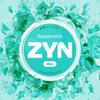 ZYN Mini Nicotine 6MG Pouches Pack of 5 -with Spearmint flavour Wholesale Price !
