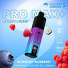 Hayati Pro Max S Plus 15K Pod Vape Kit - Wholesale Price ! with Blueberry Raspberry flavour