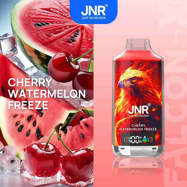 JNR Falcon X 18000 Disposable Vape Box of 10 with Cherry Watermelon Freeze flavour